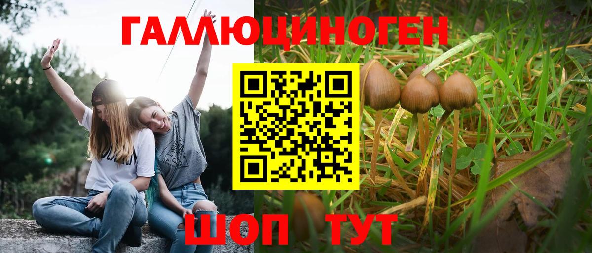 Ефремов  Псилоцибиновые грибы мухоморы  Вход с VPN 